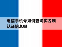 电信手机号如何查询实名制认证信息呢