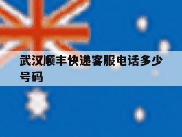 武汉顺丰快递客服电话多少号码的简单介绍
