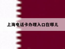 上海电话卡办理入口在哪儿