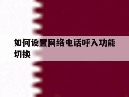 如何设置网络电话呼入功能切换