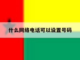 什么网络电话可以设置号码