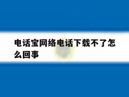 电话宝网络电话下载不了怎么回事