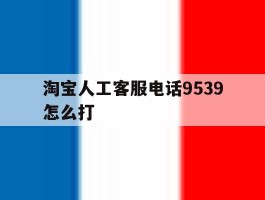 淘宝人工客服电话9539怎么打