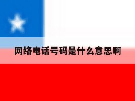 网络电话号码是什么意思啊