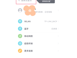 如何设置网络电话号码