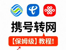 网络电话是哪个运营商的号码啊