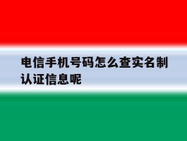 电信手机号码怎么查实名制认证信息呢