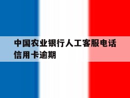 中国农业银行人工客服电话信用卡逾期
