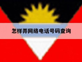 怎样弄网络电话号码查询