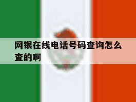 包含网银在线电话号码查询怎么查的啊的词条