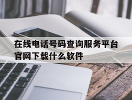 在线电话号码查询服务平台官网下载什么软件
