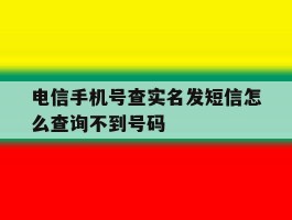 电信手机号查实名发短信怎么查询不到号码