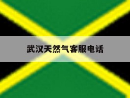 武汉天然气客服电话