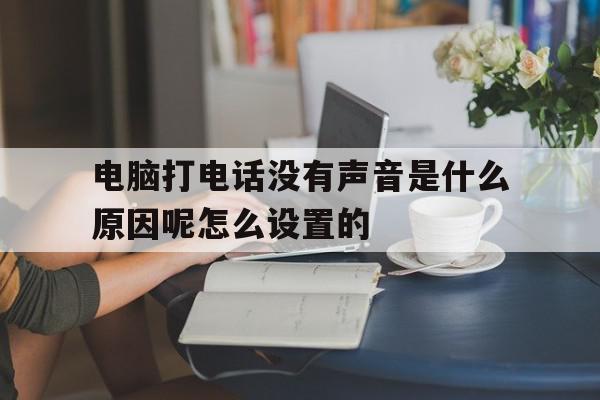 包含电脑打电话没有声音是什么原因呢怎么设置的的词条 包含电脑打电话没有声音是什么原因呢怎么设置的的词条