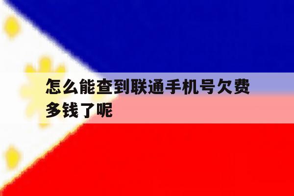 包含怎么能查到联通手机号欠费多钱了呢的词条 包含怎么能查到联通手机号欠费多钱了呢的词条