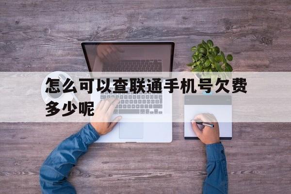 包含怎么可以查联通手机号欠费多少呢的词条 包含怎么可以查联通手机号欠费多少呢的词条