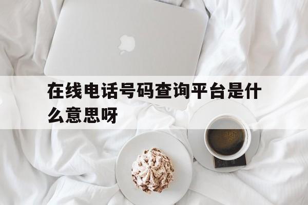 在线电话号码查询平台是什么意思呀 在线电话号码查询平台是什么意思呀