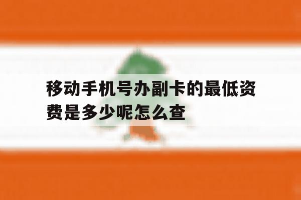 移动手机号办副卡的最低资费是多少呢怎么查 移动手机号办副卡的最低资费是多少呢怎么查